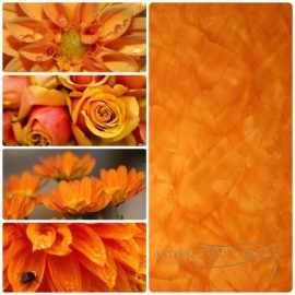 xdesk_Fotor_Collage-01